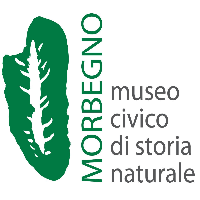 Museo di Storia Naturale